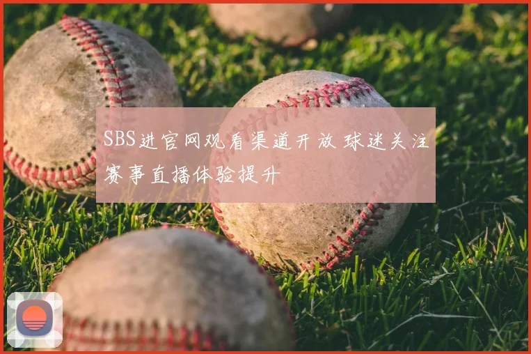 SBS进官网观看渠道开放 球迷关注赛事直播体验提升